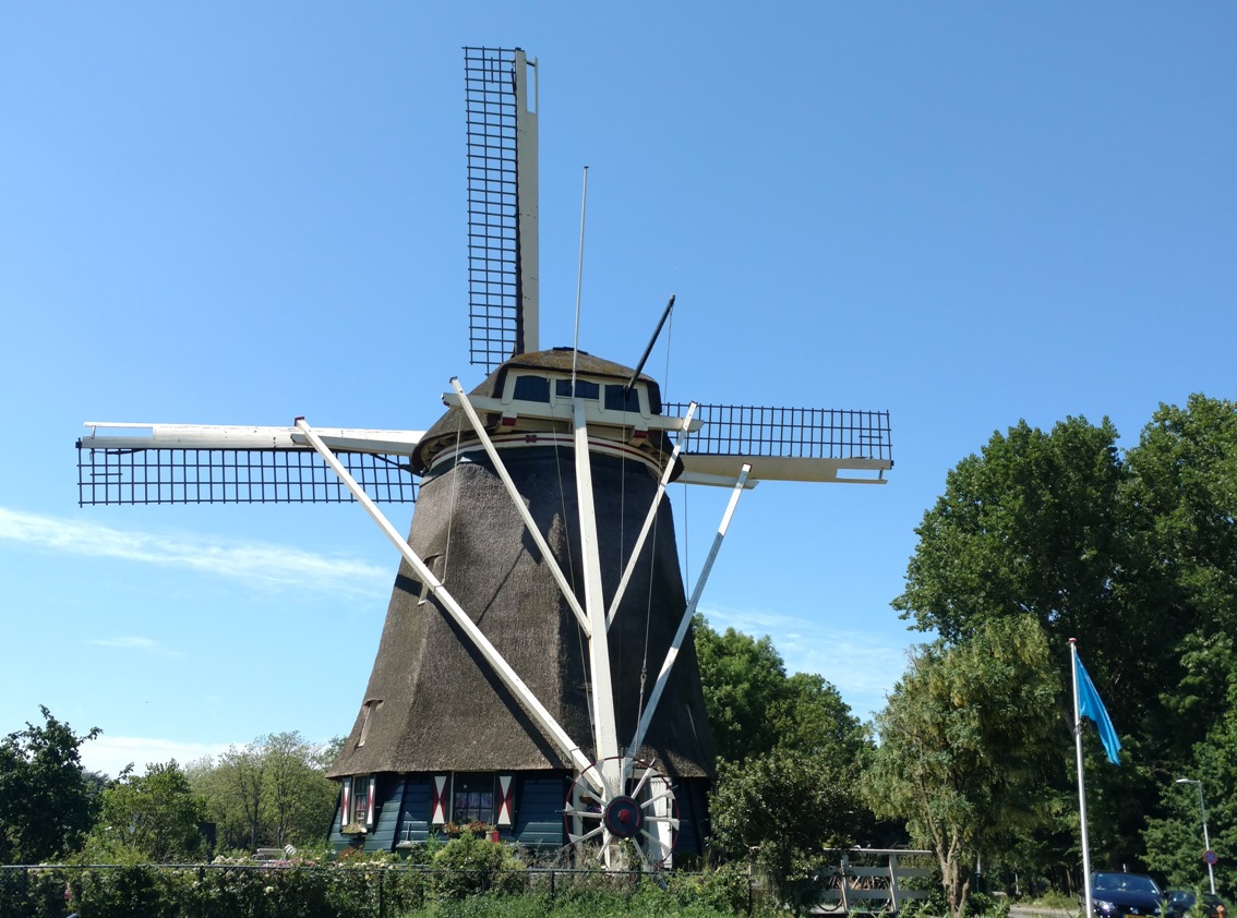 Windmill- sm- JR.jpg