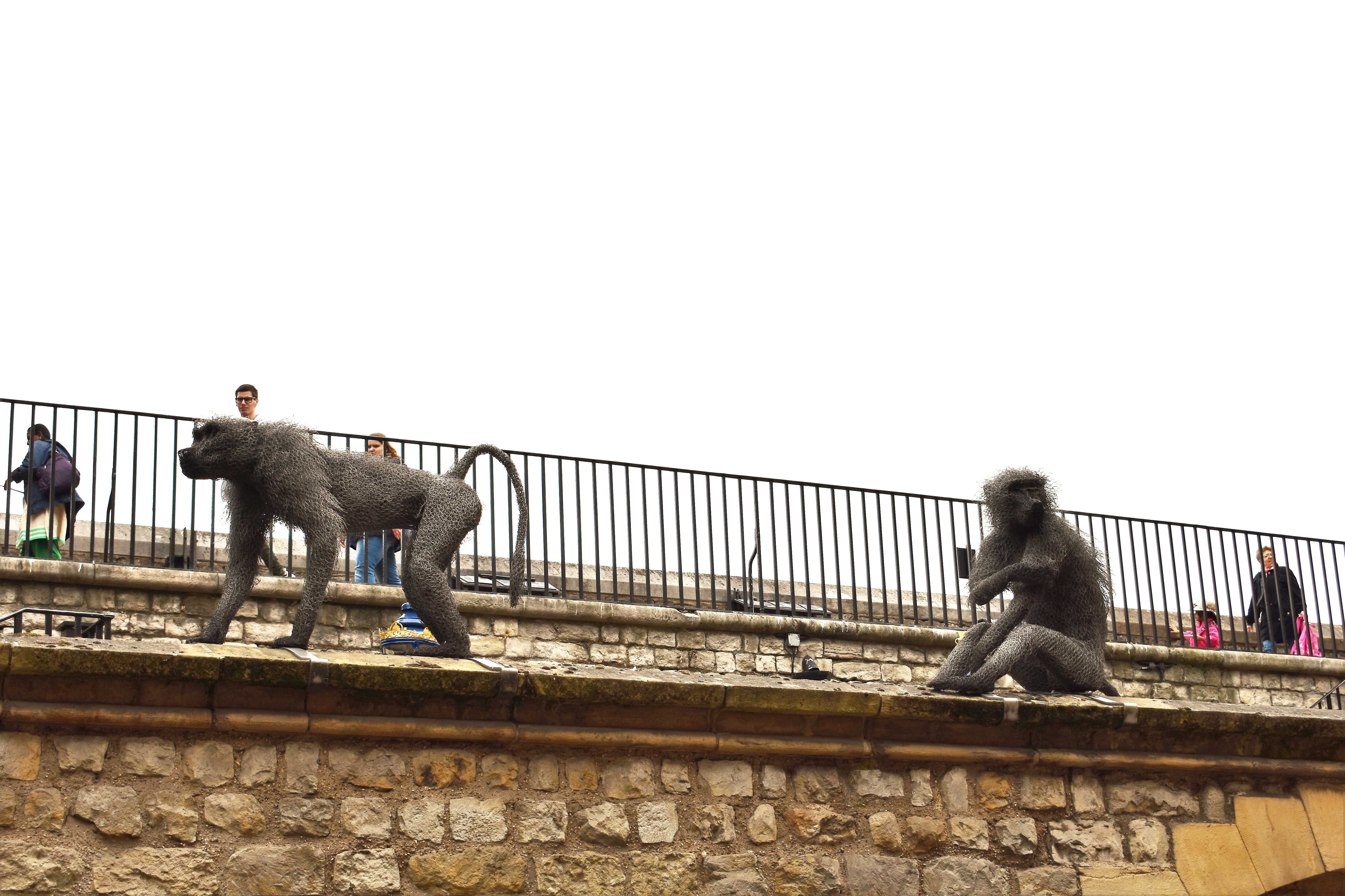 Royal Beast Monkeys.JPG