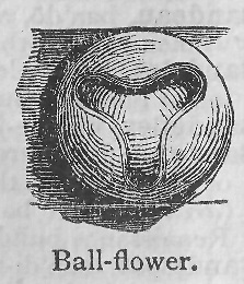 Ballflower.jpg