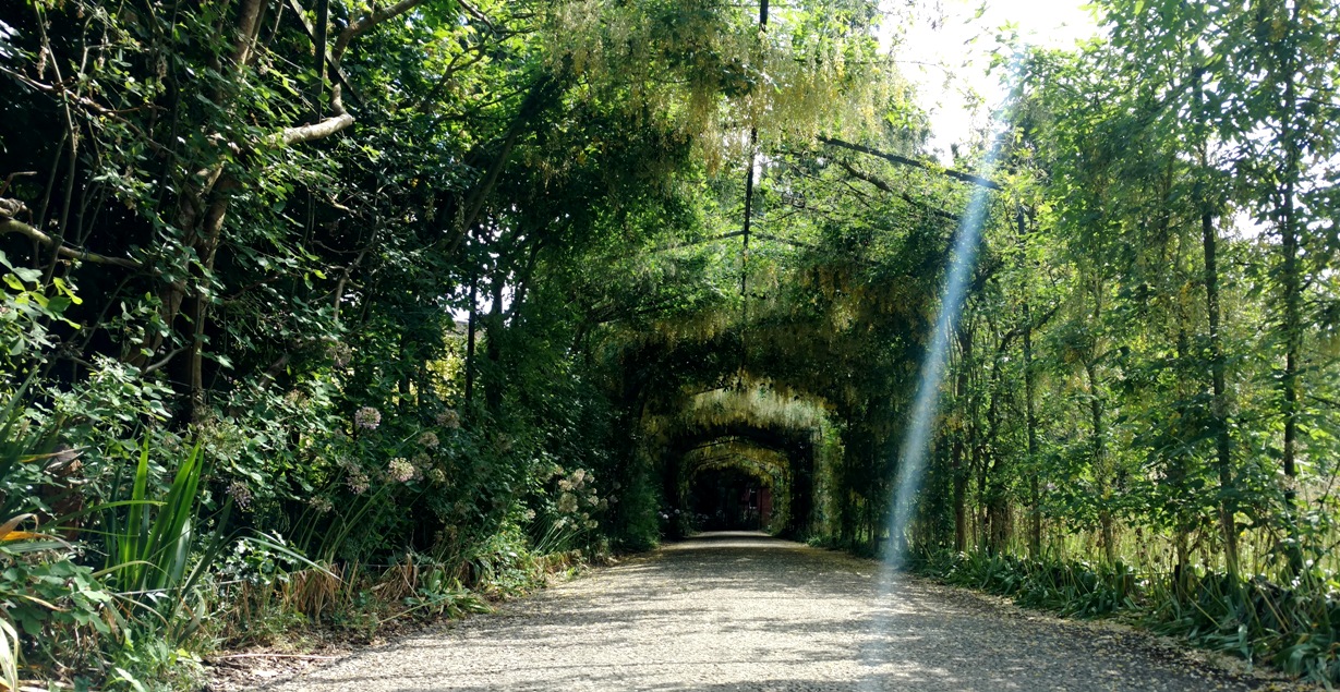 Garden Tunnel- sm- JR.jpg