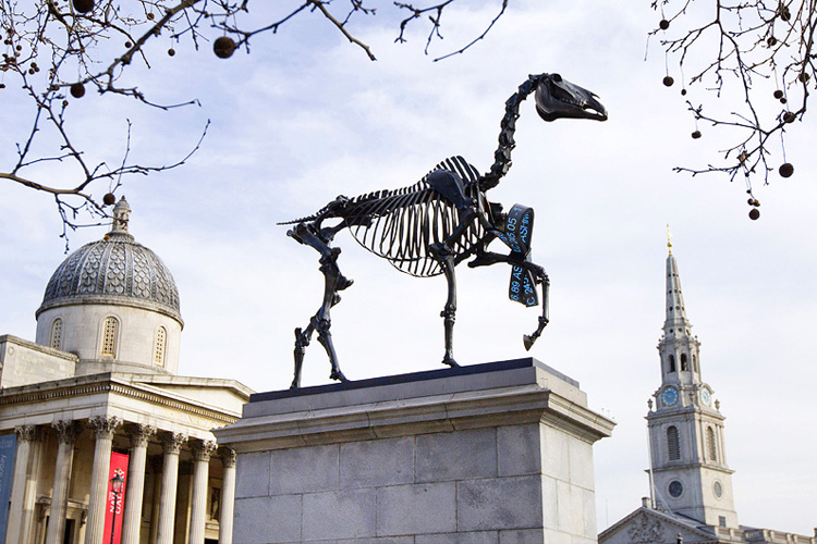 Gift-horse-by-hans-haacke-on-the-fourth-plinth-london.jpg