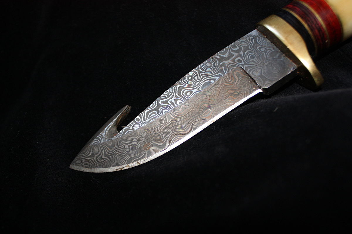 Damascus steel hunting knife (4121913093).jpg
